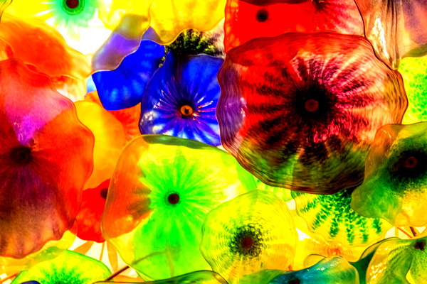 베타 존의 몰입형 모험