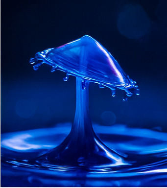 새로운 탐험 경험